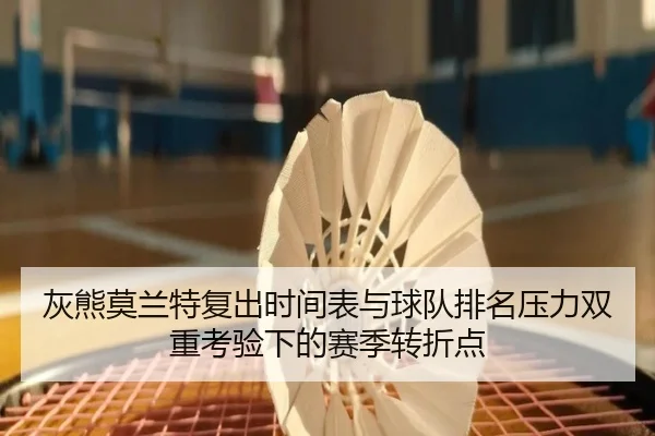 灰熊莫兰特复出时间表与球队排名压力双重考验下的赛季转折点