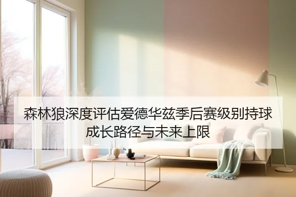 森林狼深度评估爱德华兹季后赛级别持球成长路径与未来上限