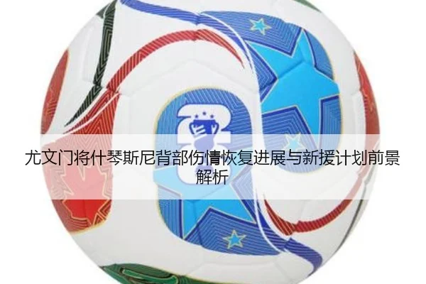 尤文门将什琴斯尼背部伤情恢复进展与新援计划前景解析